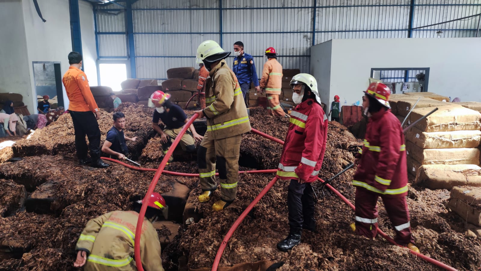 Gudang Tembakau di Sidobandung Dilahap Si Jago Merah