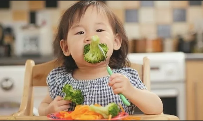 Usia Prasekolah, Anak Butuh Nutrisi untuk Mendukung Perkembangan Kognitifnya