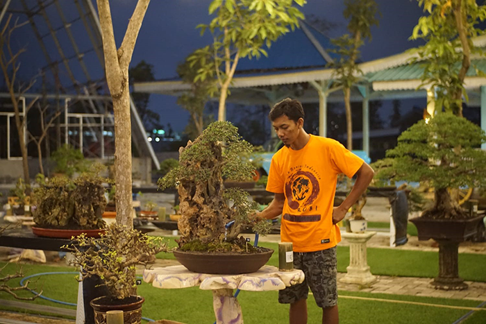Geliatkan Seni Bonsai, Rubi Bojonegoro Gelar Festival di MCM