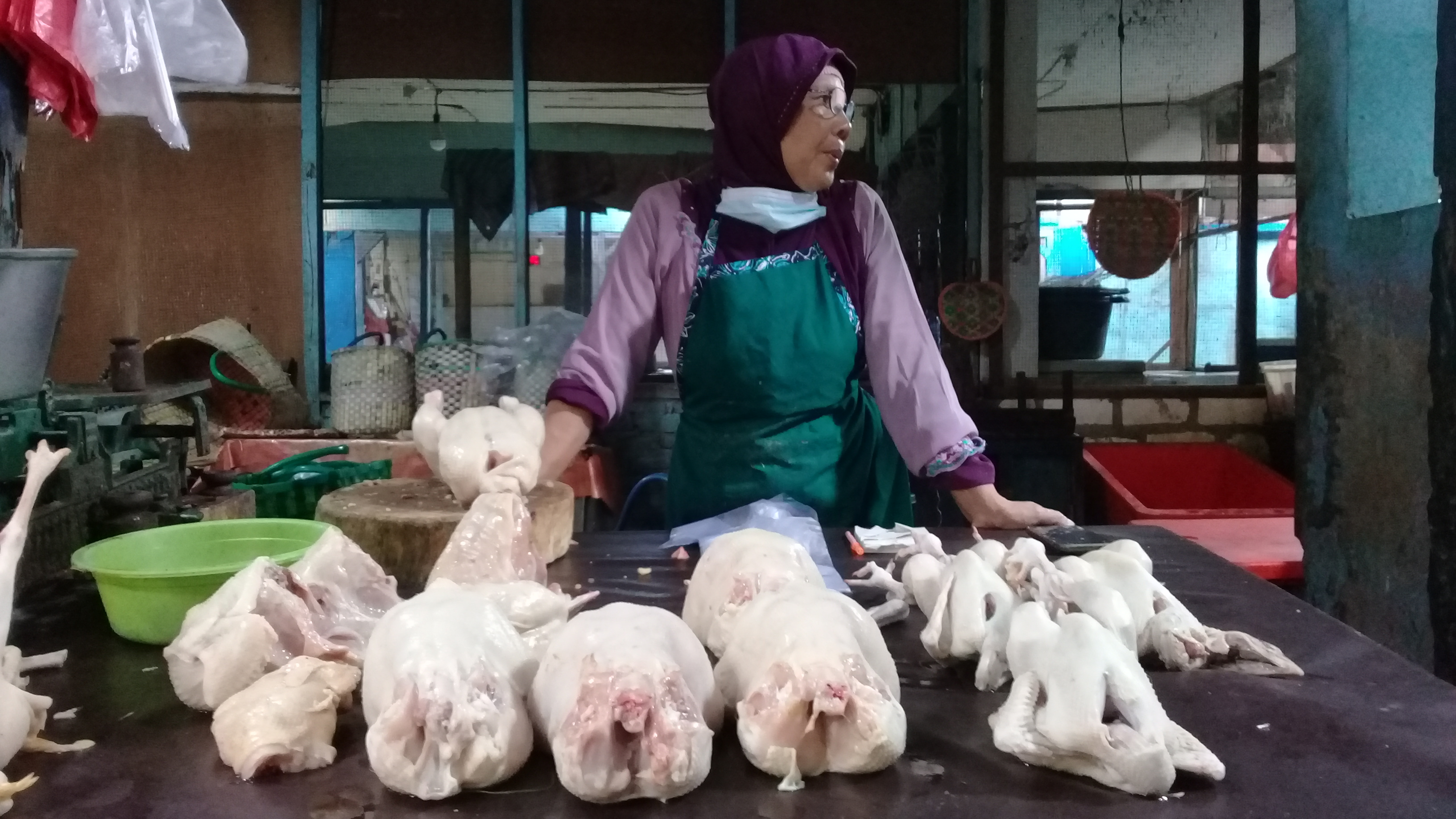 Pasca Idul Adha Harga Daging Ayam Kembali Normal