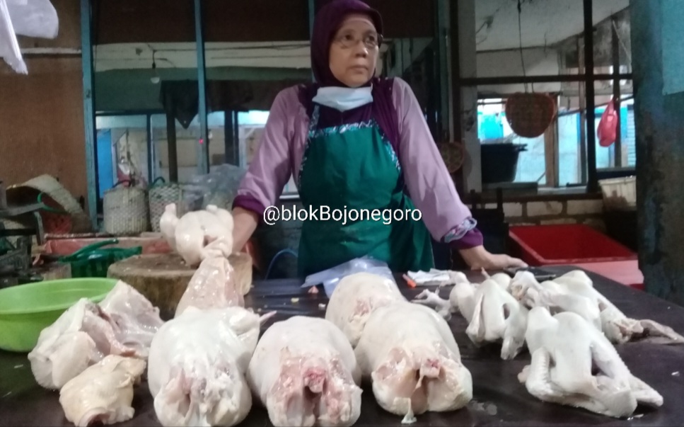 Stok Melimpah, Harga Daging Ayam Broiler Turun