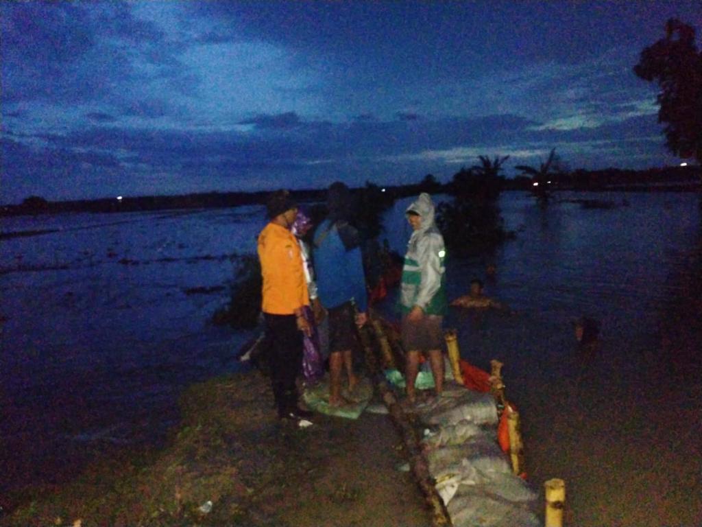 Tanggul Kali Avour di Kanor Ambrol, Puluhan Lahan Bibit Padi Terendam