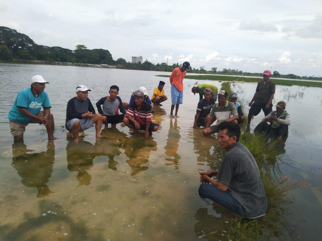 Protes Padi Terendam Banjir, Petani Musyawarah di Atas Air