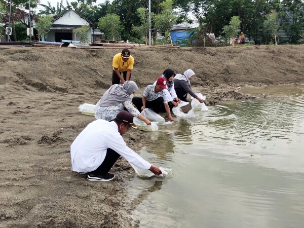 Budayakan Gemarikan, Disnakan Bojonegoro Tebar Benih 936.300 Ikan Nila dan Tawes