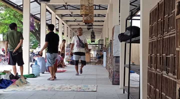 Mengulas Sejarah Keberadaan Pasar Burung Bojonegoro dari Masa ke Masa