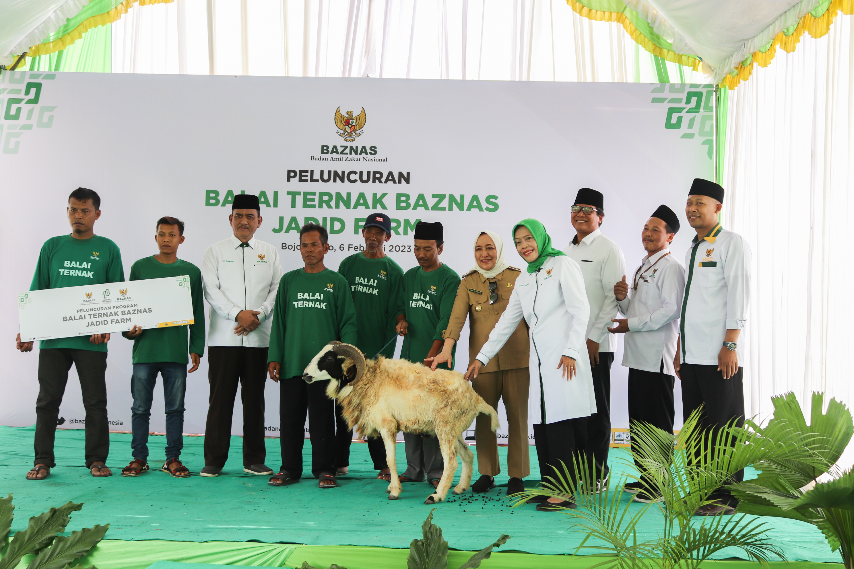 Baznas RI Salurkan 350 Kambing Program Balai Ternak Jadid Farm