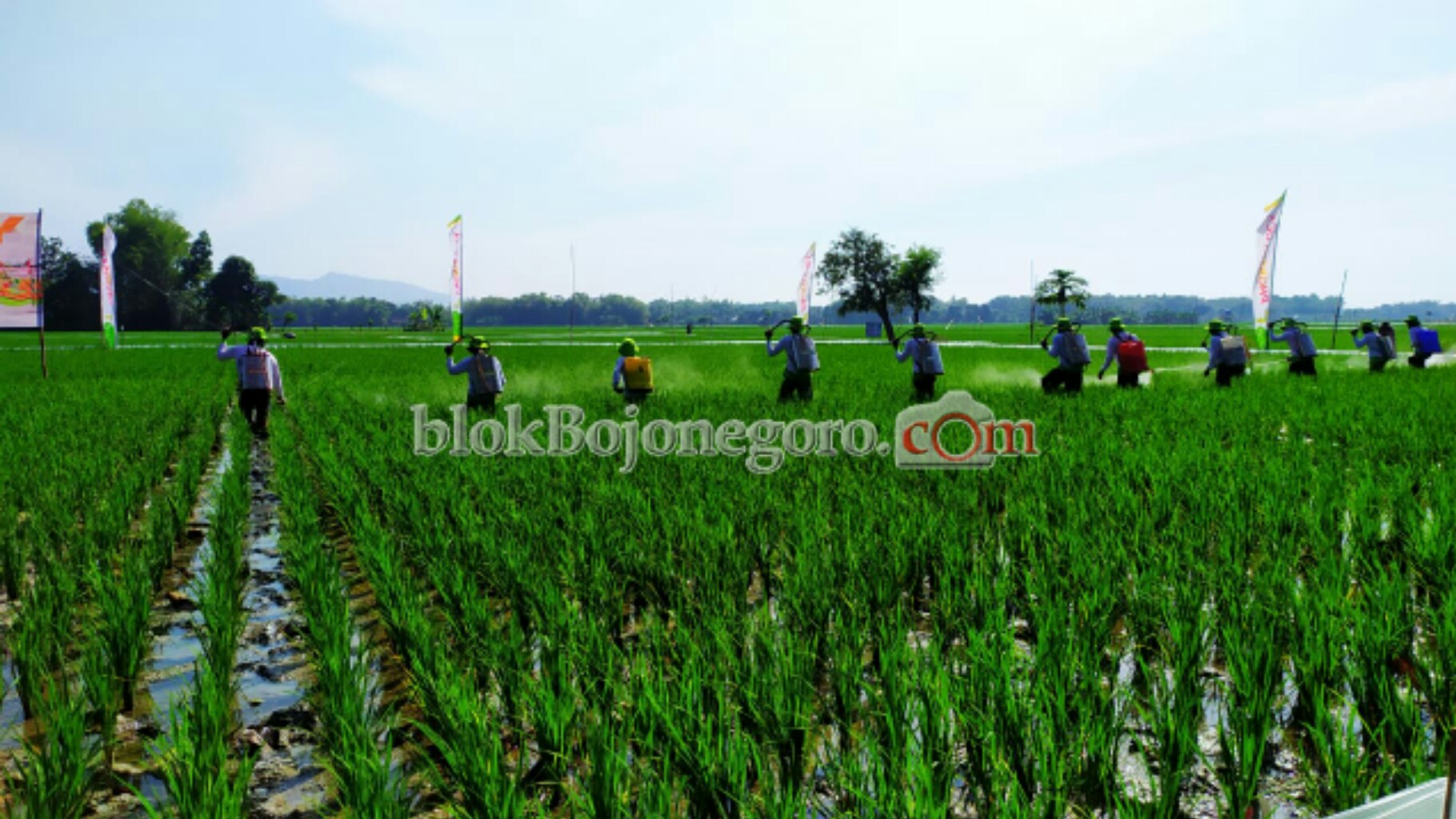 Alokasi Pupuk Subsidi di Bojonegoro Alami Penurunan