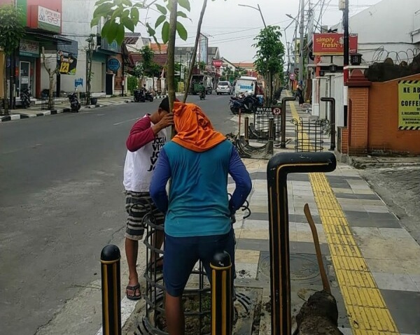 PKP Cipta Karya Tangani Pohon Kering dan Mati