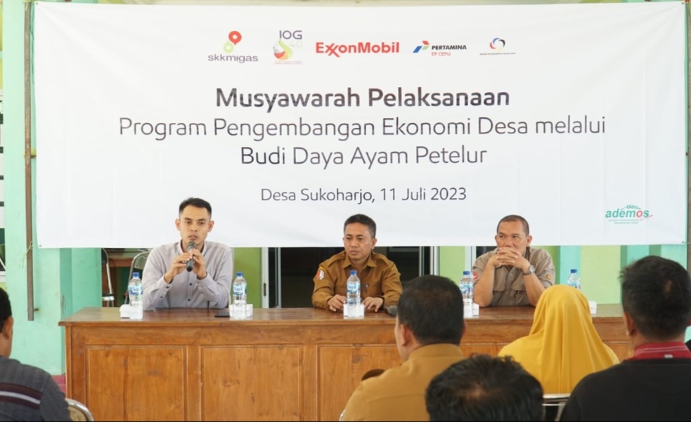 Kebutuhan Telur di Bojonegoro Capai 7.995 Ton, Bisnis Ternak Ayam Petelur Menggiurkan