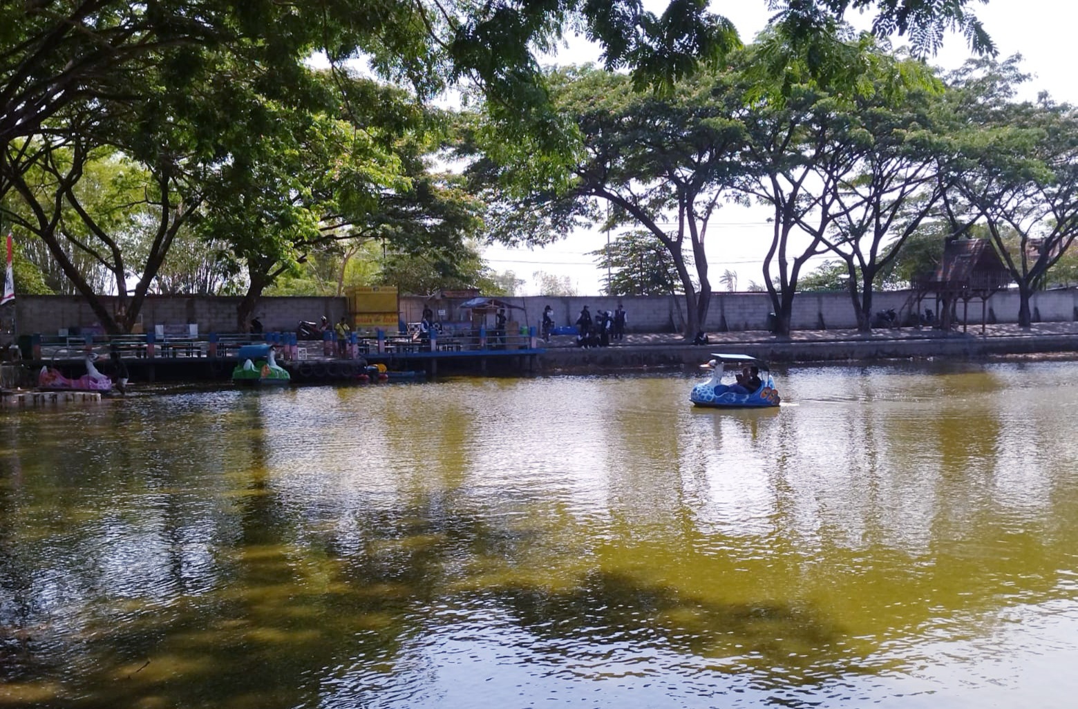 Waduk Pedang dan Cerita Rindangnya