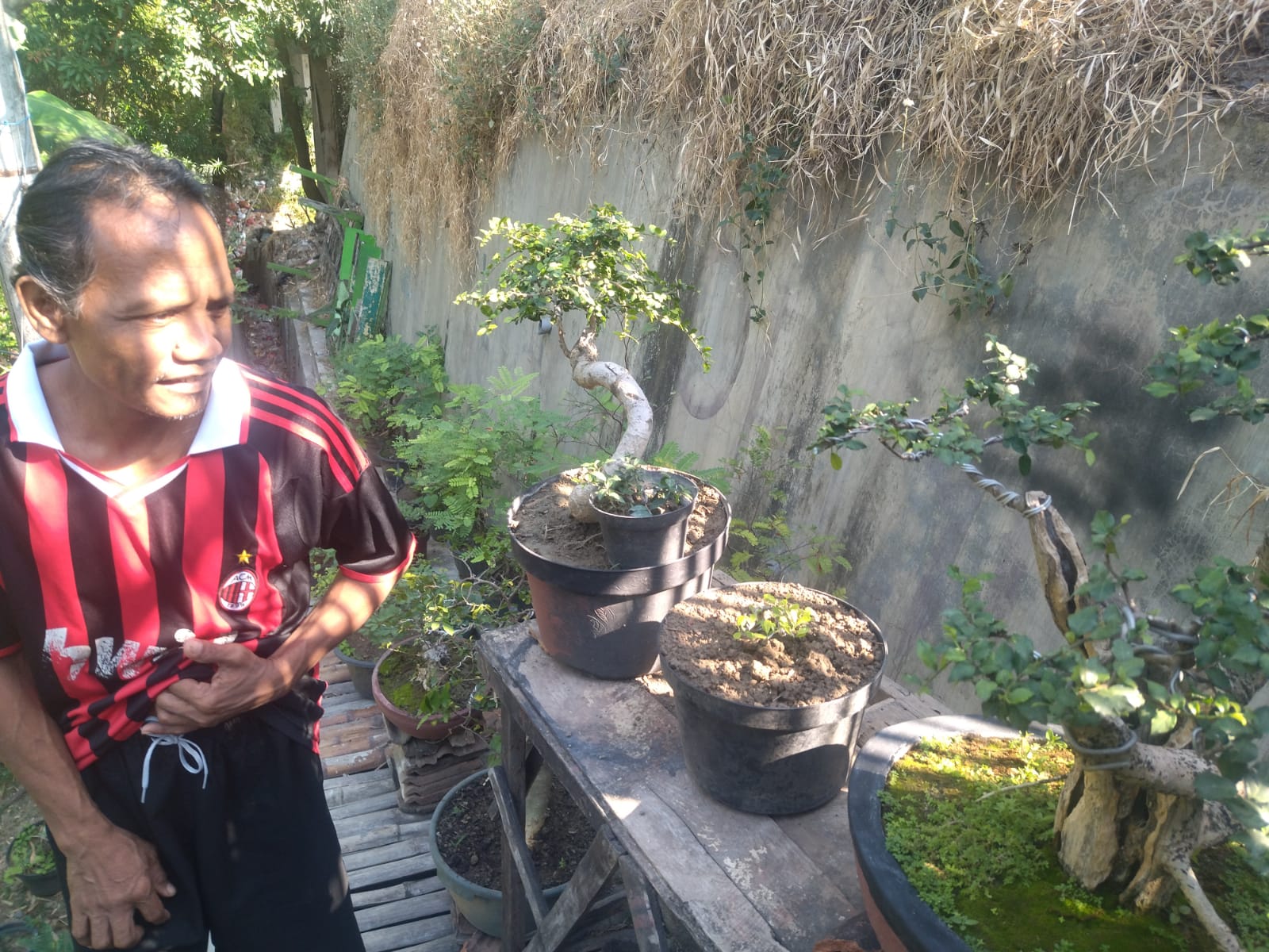 Cak Dim dan Komunitas Bonsai di Kedungadem
