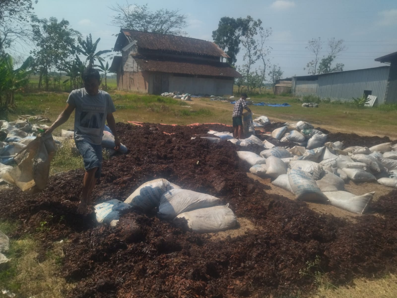 Olahan Cabe Kering Asal Bojonegoro Dikirim ke Cirebon