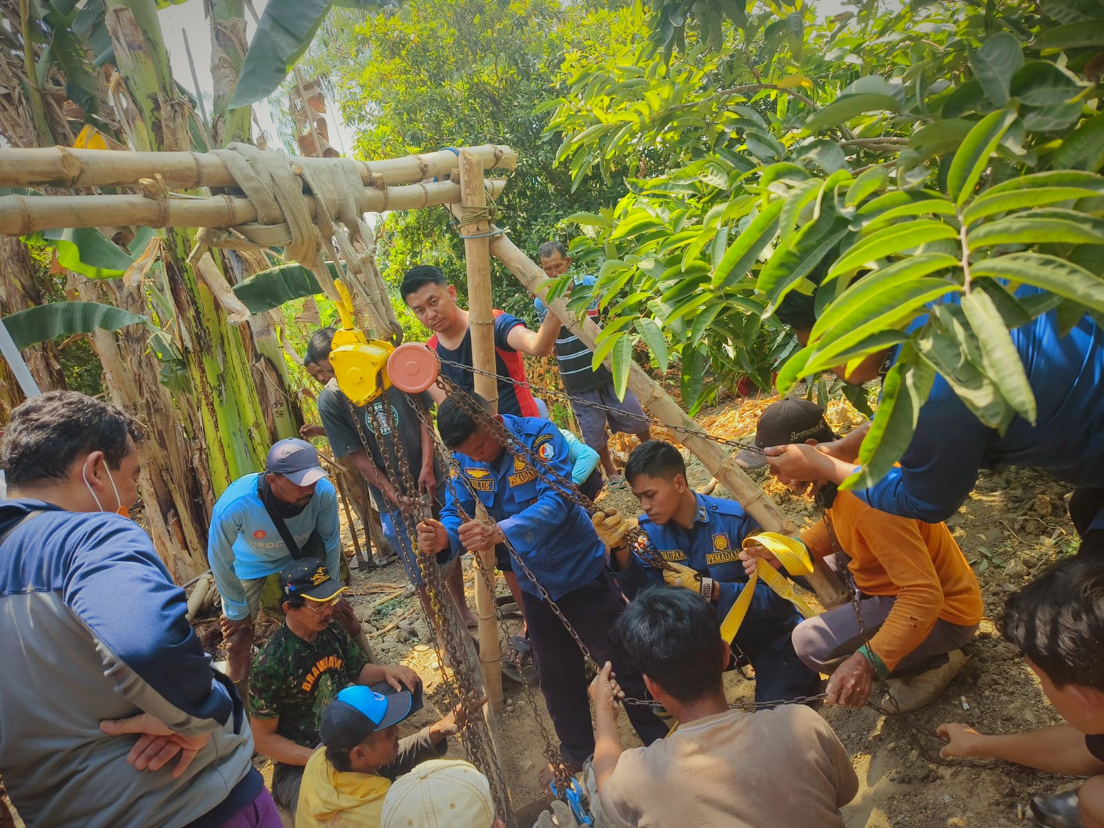 Tragis, Seekor Sapi Tercebur Sumur di Bojonegoro Berakhir Disembelih