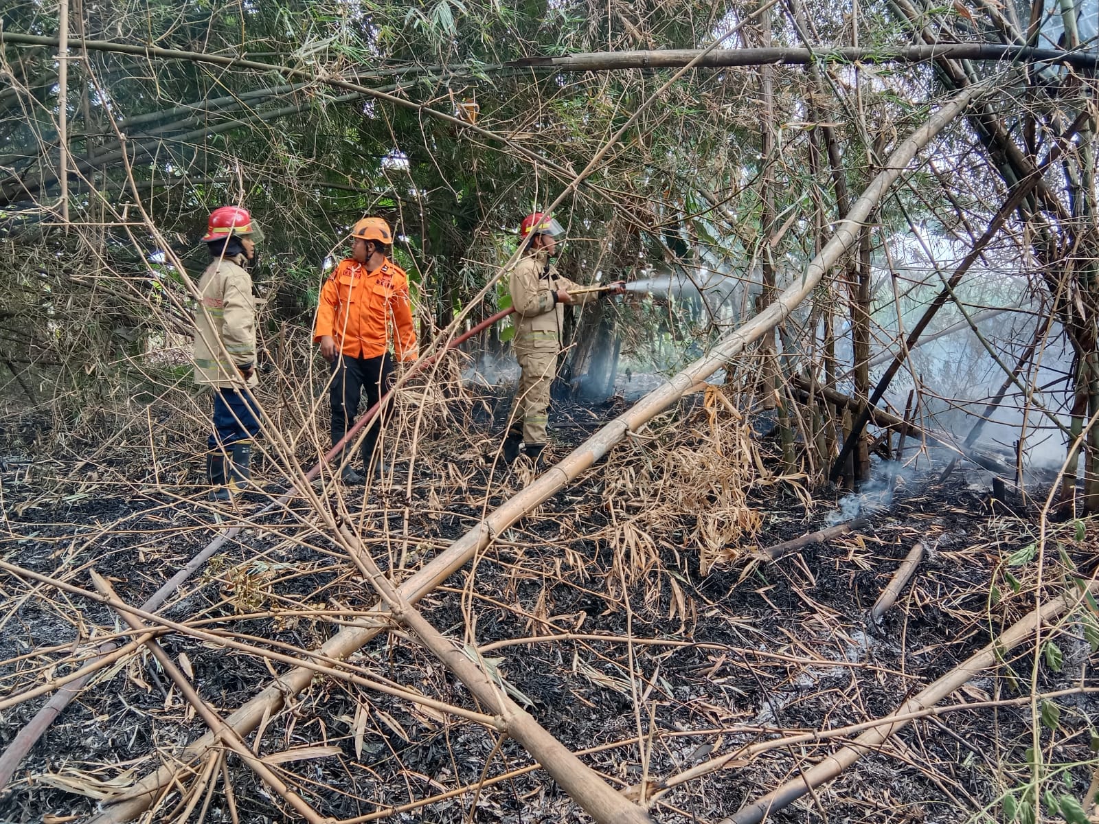 Rumpun Bambu Dekat Permukiman Warga di Kanor Terbakar, Diduga Karena Pembakaran Sampah