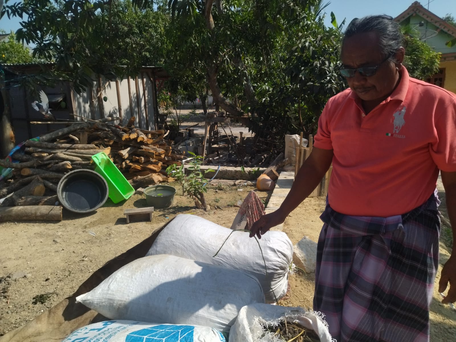 Pupuk Kompos Organik Pengganti Ketergantungan Petani Terhadap Pupuk Subsidi