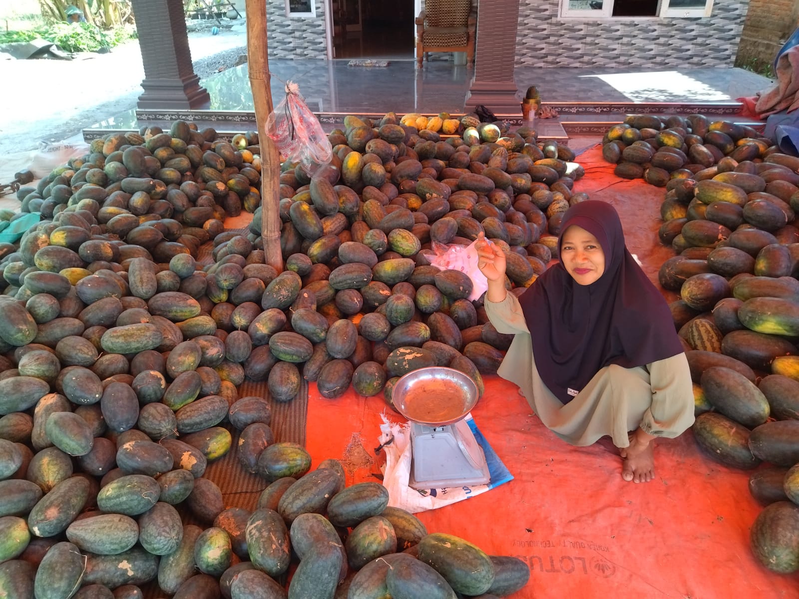Belasan Tahun Warga Kayulemah ini Buka Lapak Buah Semangka, Harganya Murah