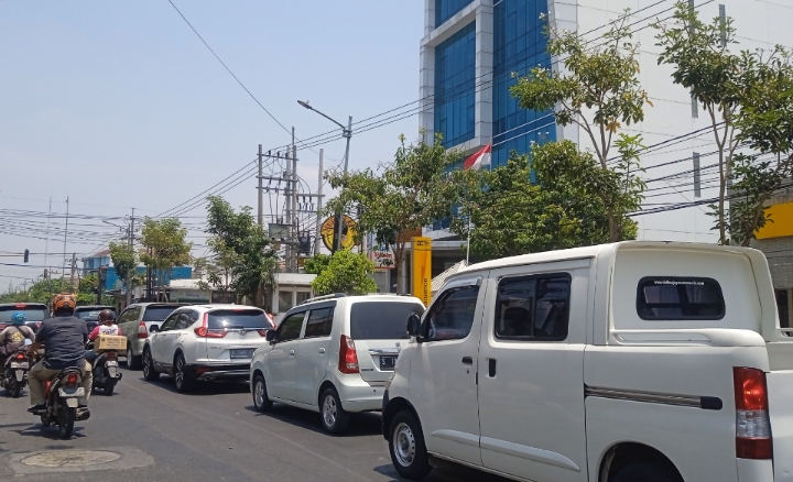 Musim Kemarau Tabebuya Bermekaran, Begini Cara Perawatan Dinas Terkait
