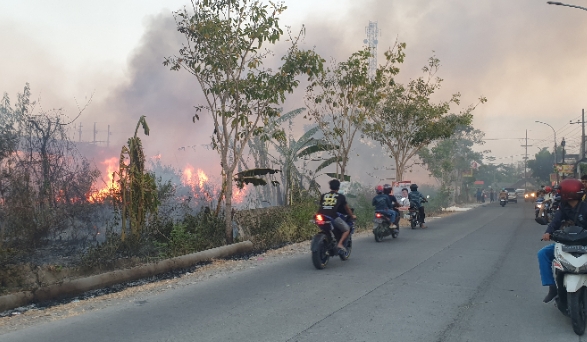 Kebakaran Hebat di Lahan Kosong Sumberrejo