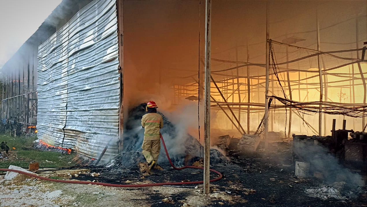 Kandang Ayam 3 Lantai di Bojonegoro Terbakar, 38 Ribu Ayam Terpanggang