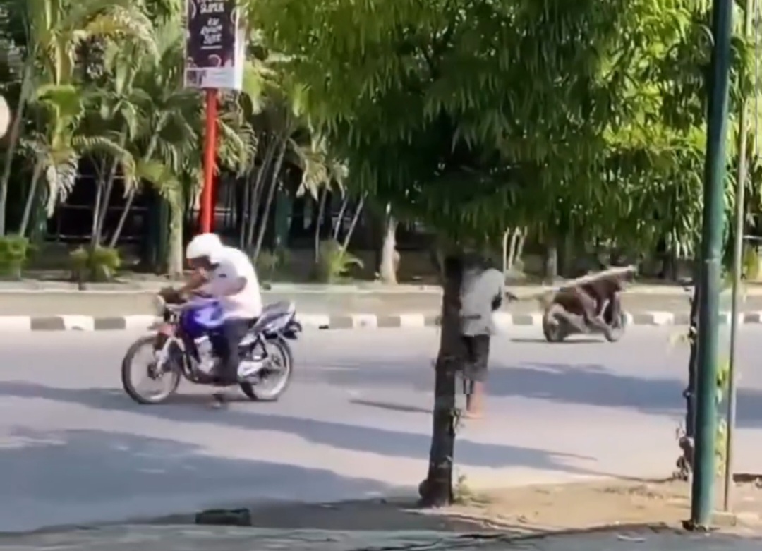 ODGJ di Bojonegoro Ngamuk di Jalan Veteran, Sejumlah Orang Dipukul Pakai Kayu