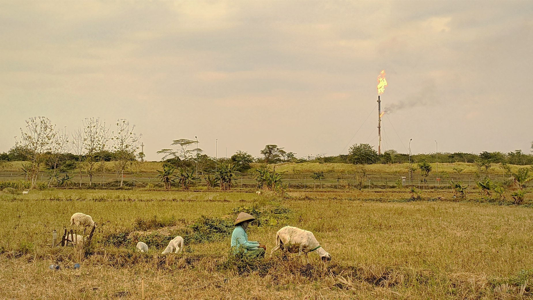 Antisipasi Puncak Kemarau, BPBD Bojonegoro Siapkan 300 Tangki Air Bersih