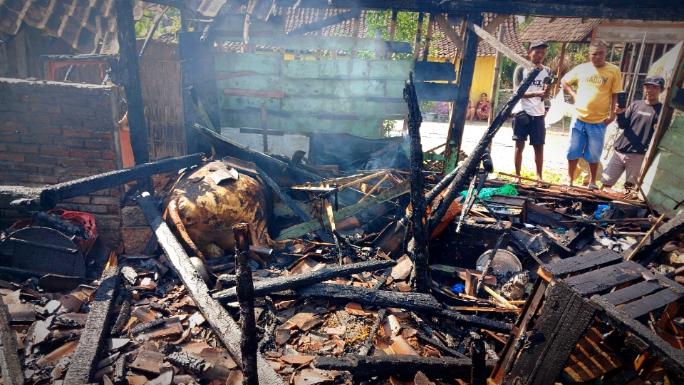 Tragis, 3 Sapi 1 Rumah di Terbakar, Kerugian Capai Rp100 Juta