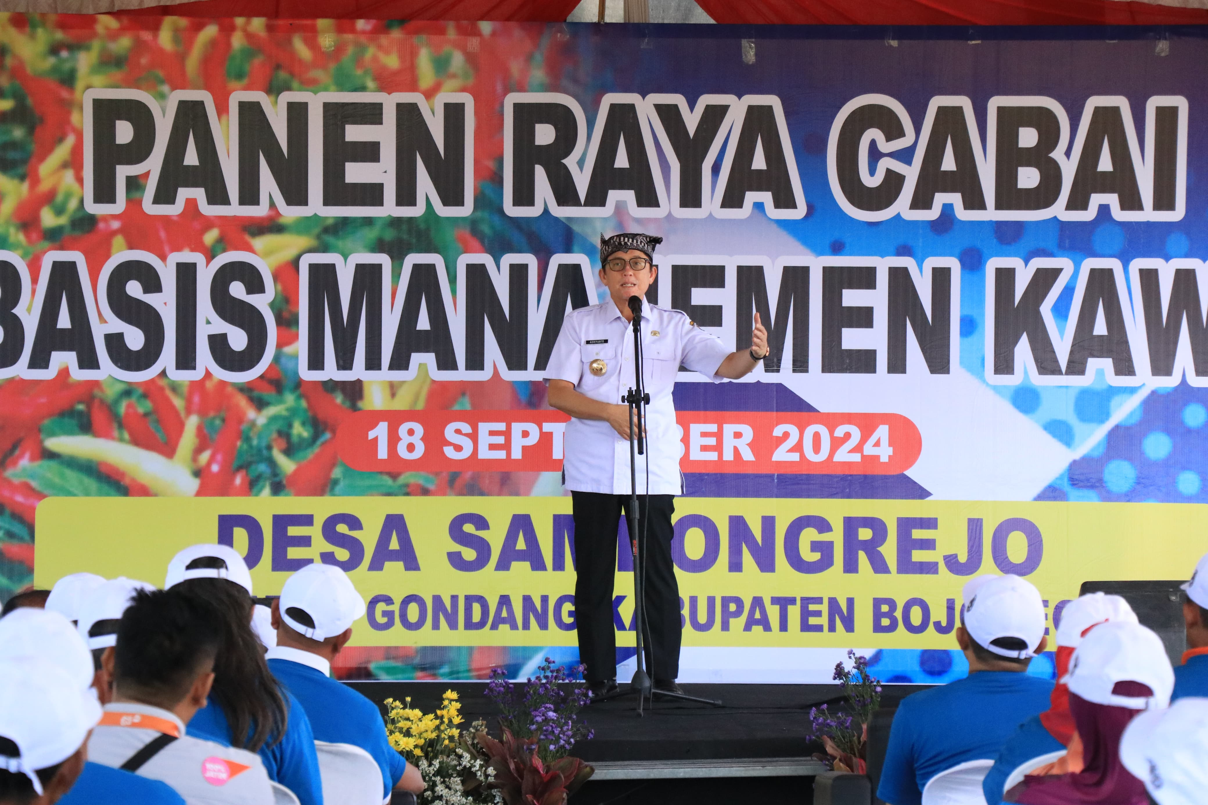 PJ Bupati Bojonegoro Laksanakan Panen Raya Cabai Berbasis Manajemen Kawasan