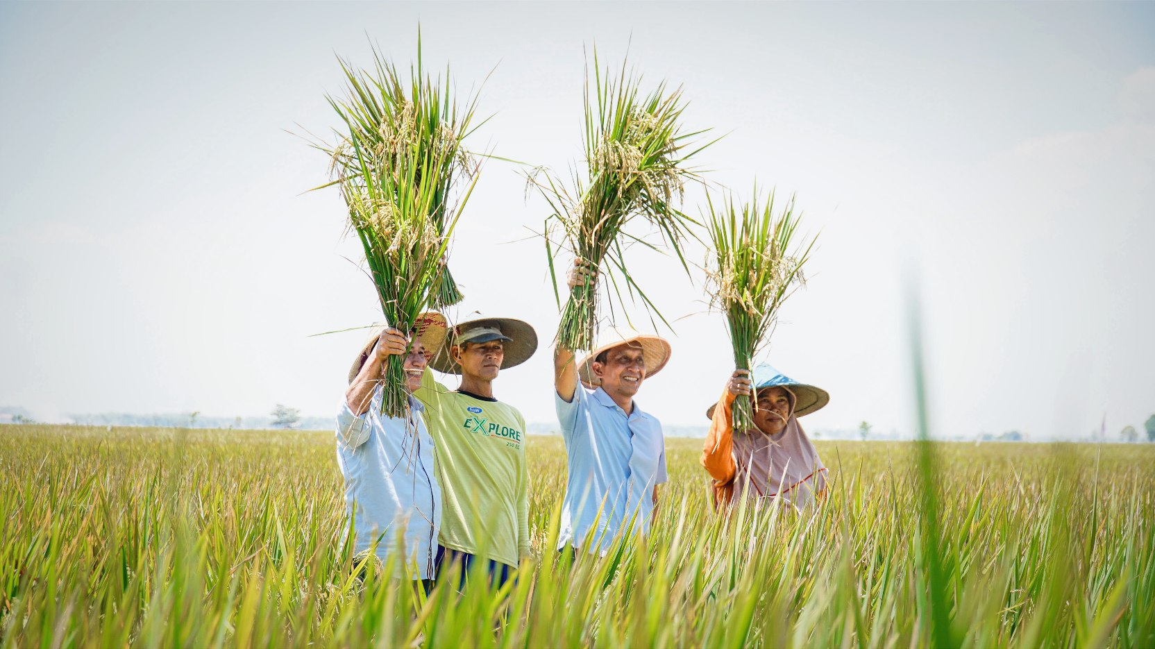 Panen Raya Bersama Petani, Setyo Wahono Sampaikan Solusi Masalah Pertanian di Bojonegoro