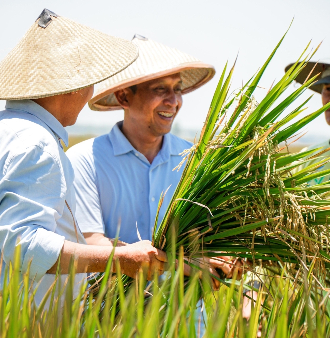 Setyo Wahono Panen Raya Padi Bersama Petani, Sampaikan Solusi Atasi Masalah Pertanian