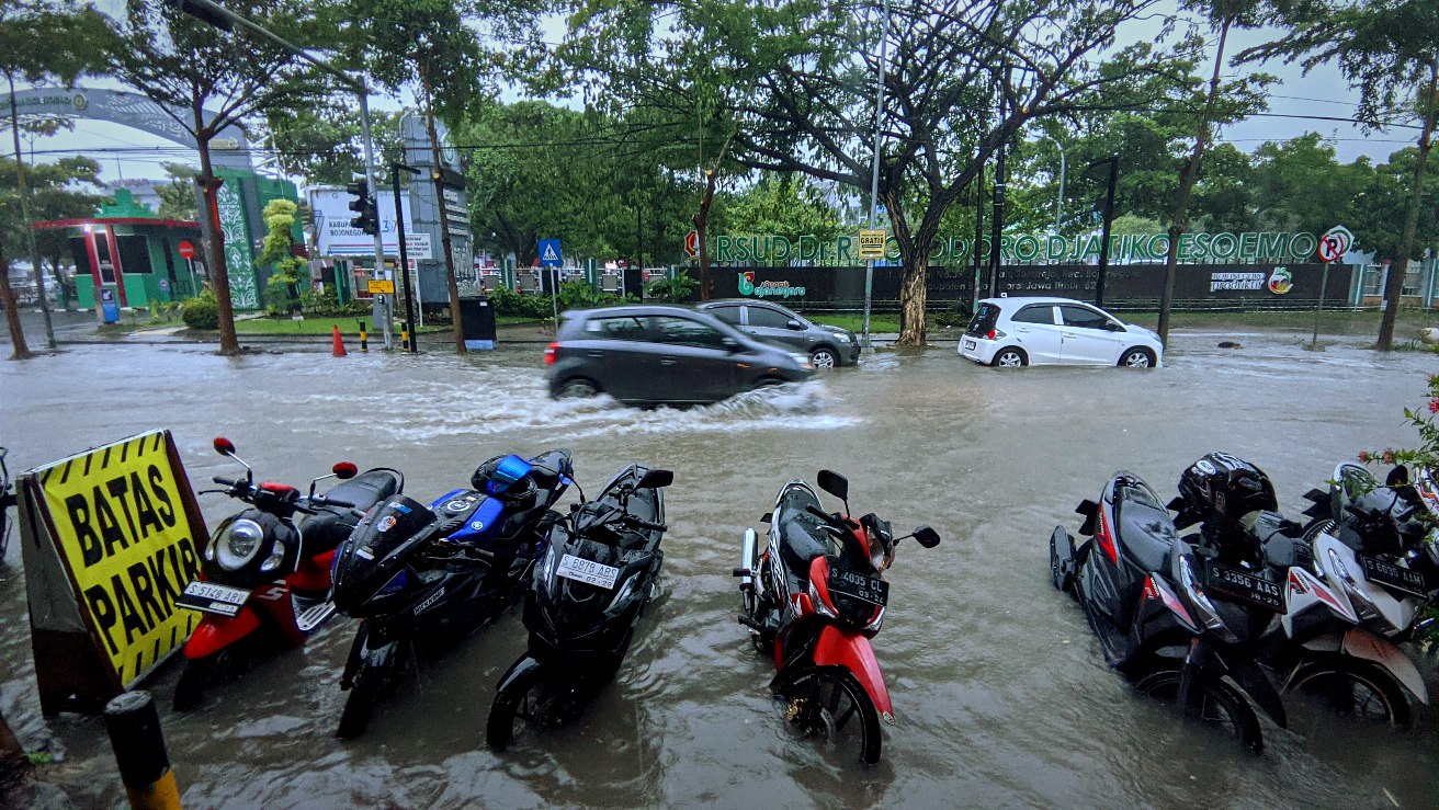 Hujan Deras, Sebabkan Banjir hingga Pohon Tumbang di Bojonegoro
