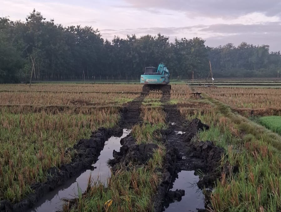 Menjaga Alam Ringintunggal: Perjuangan Warga Melawan Tambang Ilegal