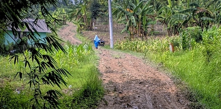 DPUPR Bina Marga Bojonegoro Angkat Bicara Soal Jalan Rusak di Desa Napis