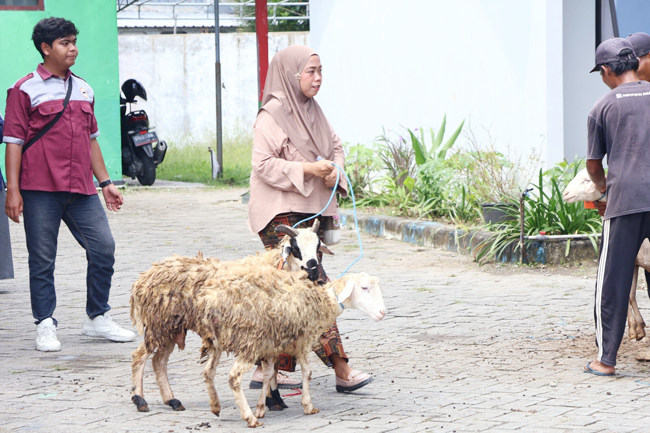 1.111 KPM di Bojonegoro, Terima Bantuan Program Domba Kesejahteraan