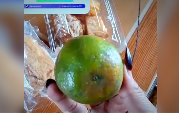 Posting Menu MBG di TikTok, Pemilik SPPG di...