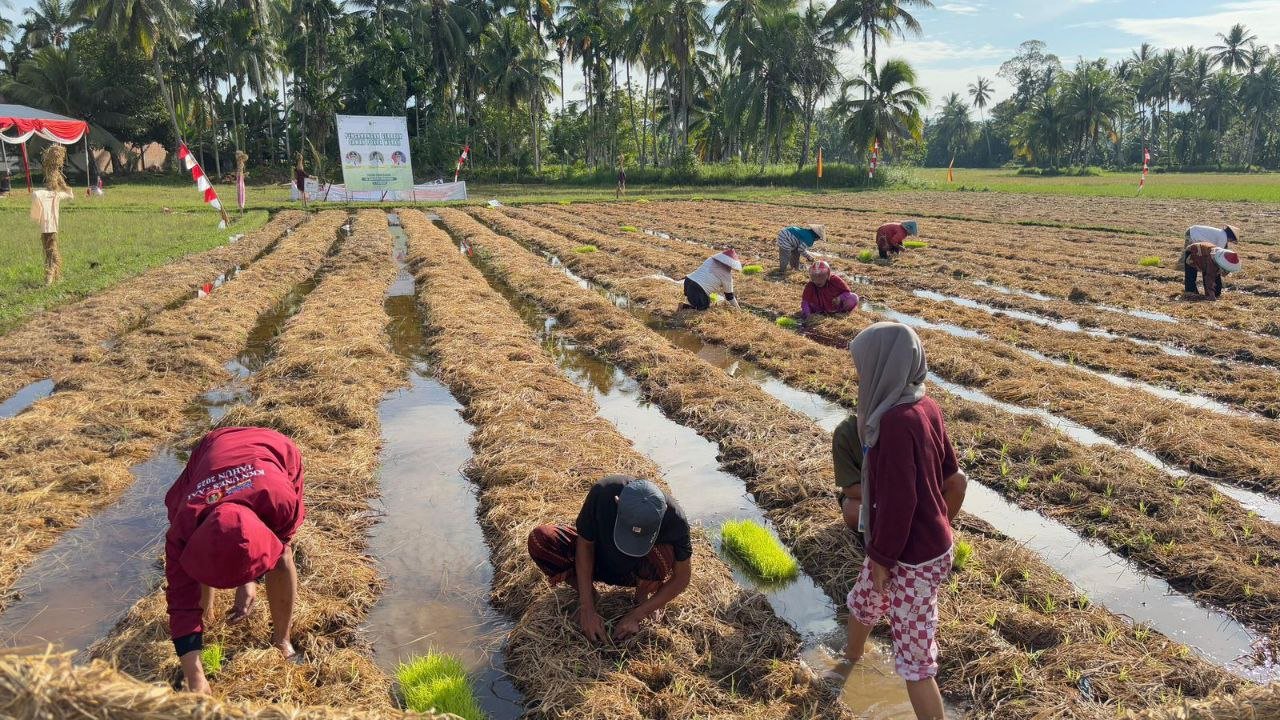 Pertamina Patra Niaga Dampingi Petani Manfaatkan Jerami untuk...