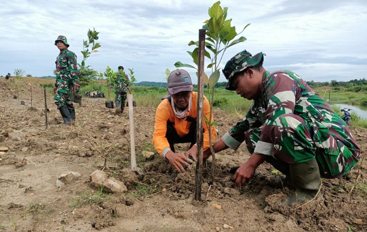 Hijaukan Spillway Waduk Pacal, 800 Bibit Pohon Produktif...