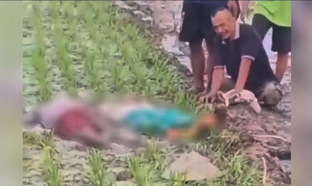 Ibu dan Anak di Kasiman, Bojonegoro Meninggal Tersengat...