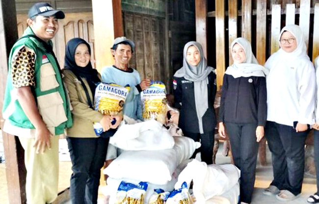 Sampai Oktober, Bantuan Benih Padi 589,8 Ton untuk...