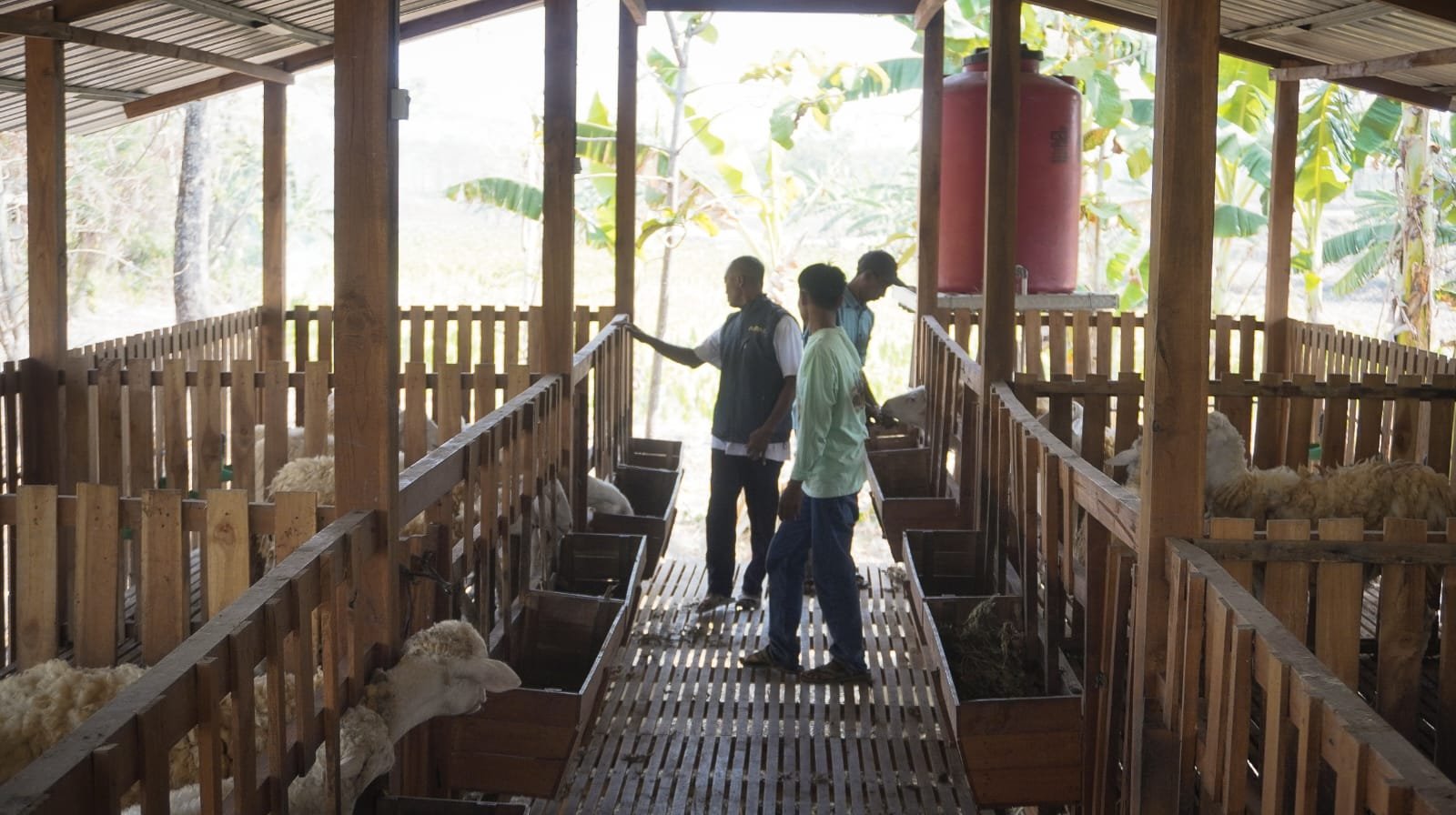 Kisah Petani Hutan di Sekitar PEPC JTB: Olah...