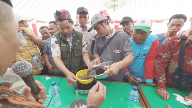 Pertanian Ramah Lingkungan, Tingkatkan Produksi dan Tekan Biaya...