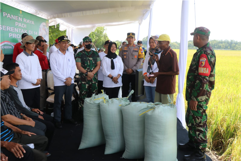 Siap Dukung Swasembada Pangan Nasional, Bupati Bojonegoro Siapkan Sektor Pertanian di Bojonegoro Lebih Maju