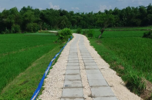 Tahun 2026, Pemkab Bojonegoro Siap Bangun 163 Titik...