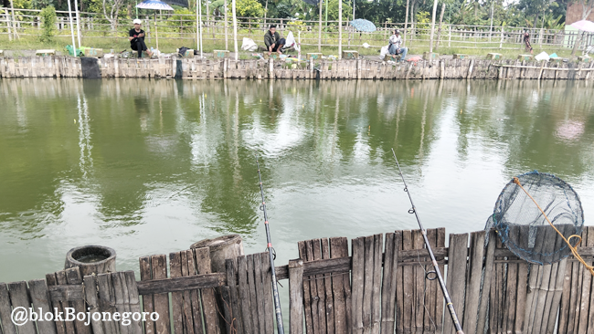 Anda Angler dan Ingin Mancing di Bojonegoro? Ini Kolam Pancing Beserta Alamatnya