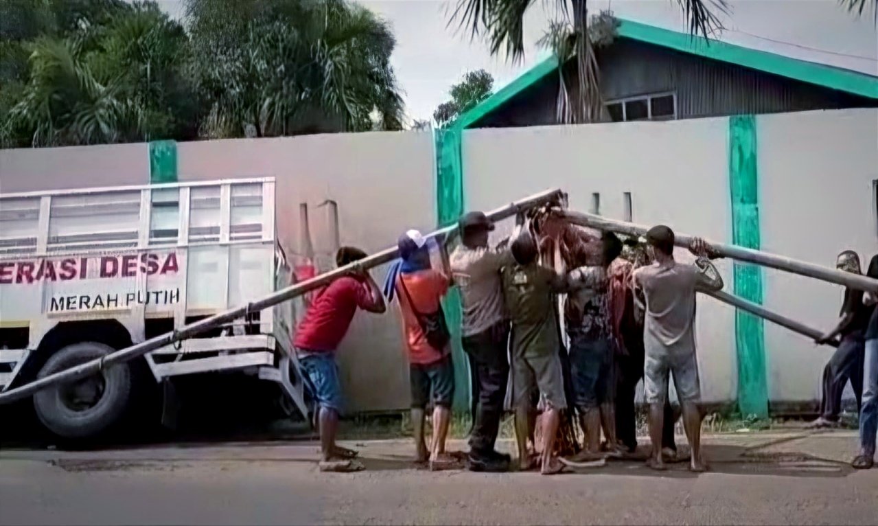 Kaget Disalip Motor, Truk KDMP Terperosok di Selokan...