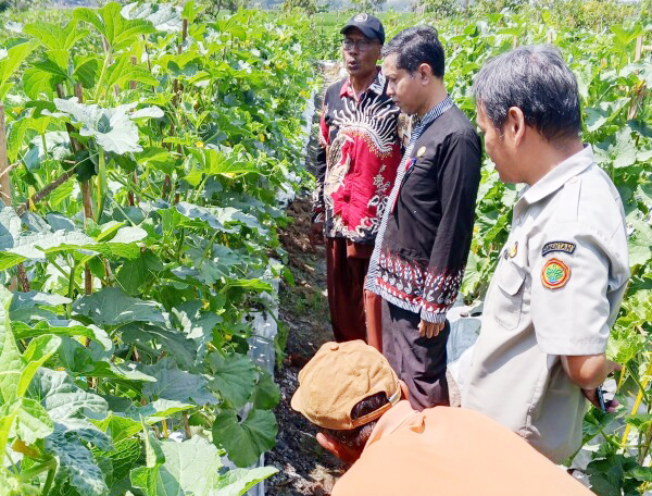 Melalui Integrated Farming System, Abdul Mukarrom Warga Balen...