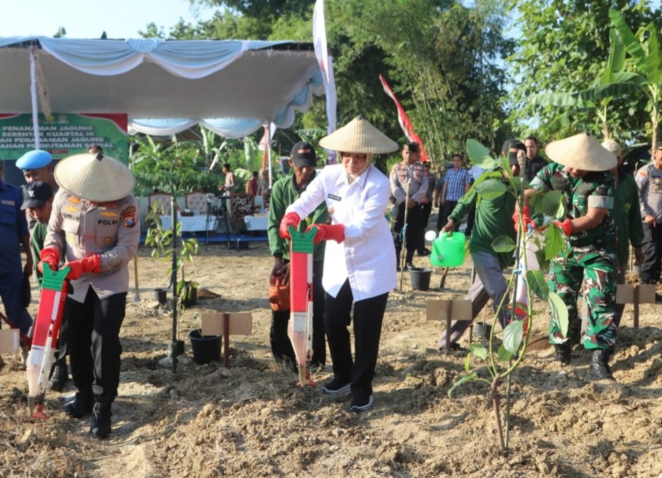 Wujudkan Swasembada Pangan, Pemkab Bojonegoro Ikut Sukseskan Penanaman Jagung Serentak Kuartal III
