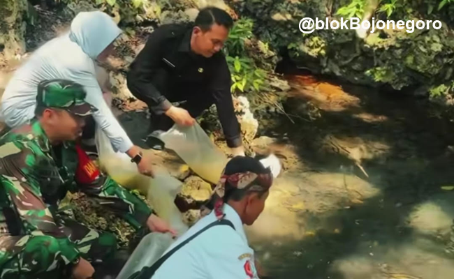 10.000 Benih Ikan Ditebar, Desa Soko Bersiap Panen Harapan