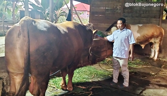 Bakti untuk Warga Desa, Aris Wijayanto asal Stren Ngasem Gandeng Tokoh
