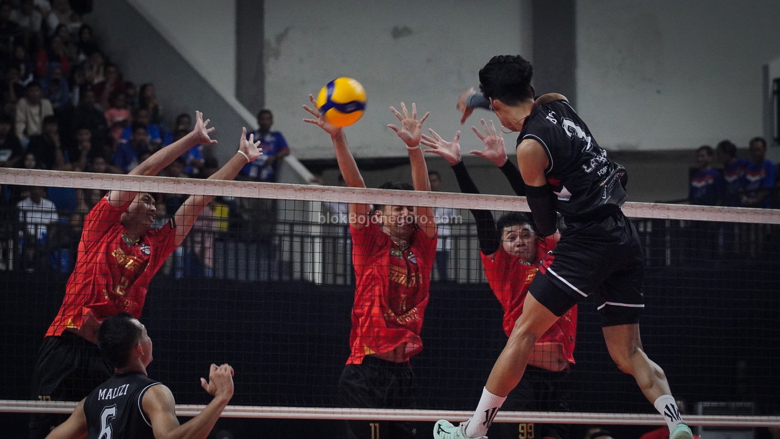 Potret LavAni Saat Melibas Surabaya Samator di Proliga 2026 Seri Bojonegoro
