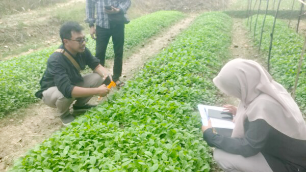 Pemkab Bojonegoro Salurkan Bantuan Benih Tembakau Unggul Bagi Petani